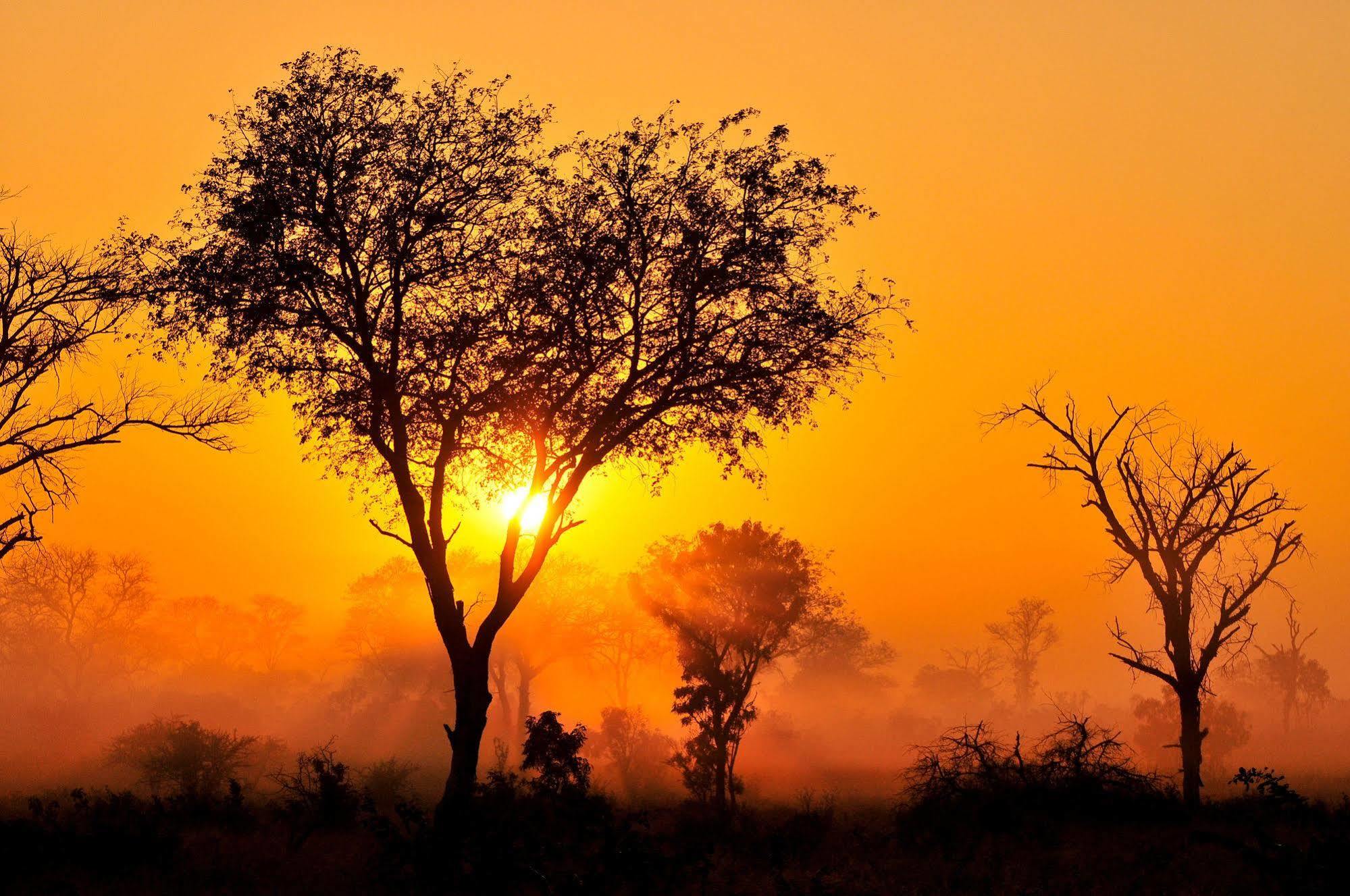 Inyati Game Lodge Metsi Dış mekan fotoğraf