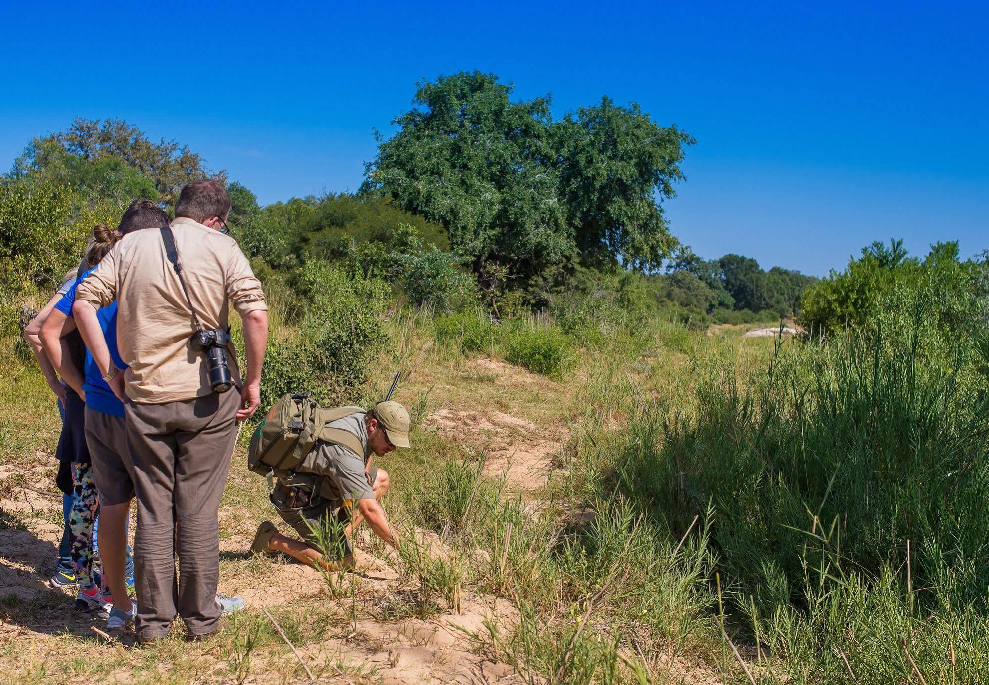 Inyati Game Lodge Metsi Dış mekan fotoğraf