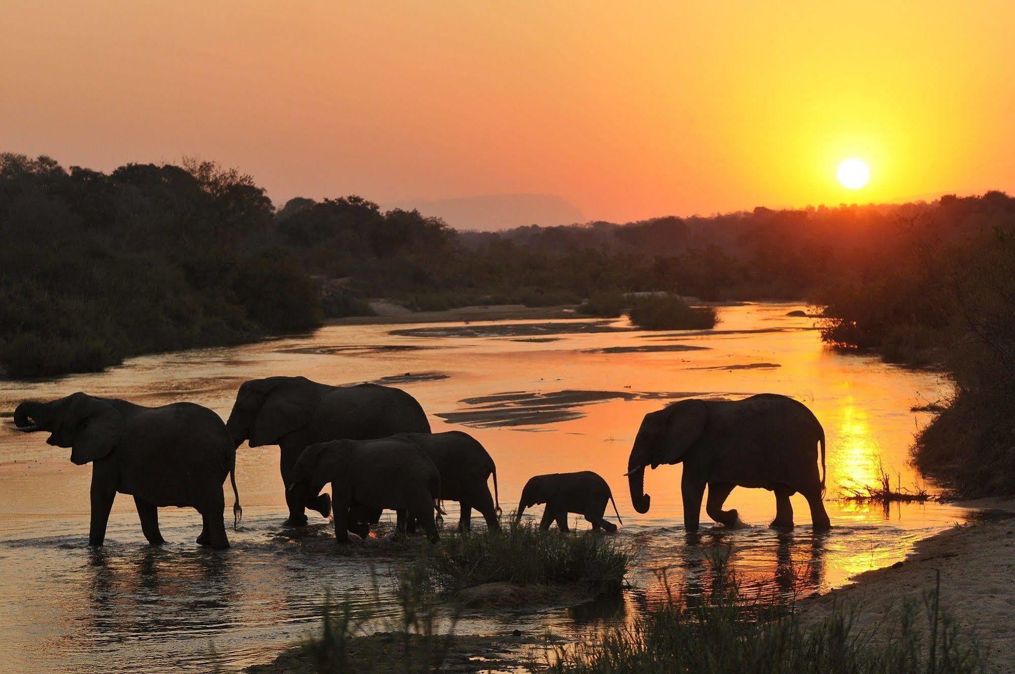 Inyati Game Lodge Metsi Dış mekan fotoğraf